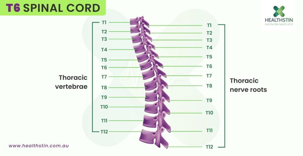 Pushing Limits Safely: How Our Salisbury Clinic Manages Spinal Cord Injury & Blood Pressure 4 T6 Spinal Cord Infographics